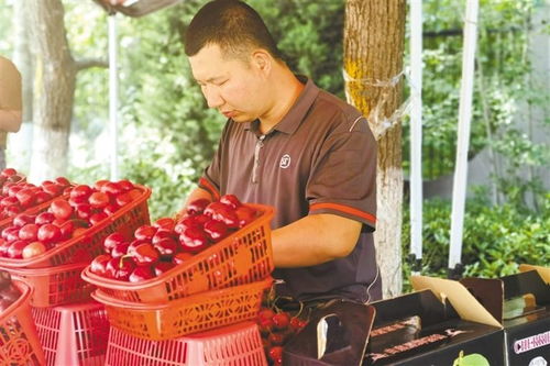 快遞進村，特產出村 農產品流通新格局的實踐與展望