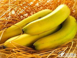 香蕉 營養價值、選購技巧與森威農產品代購服務介紹