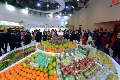 致敬七十華誕，第十七屆農交會圓滿交卷 譜寫農業新篇章，獻禮時代新征程