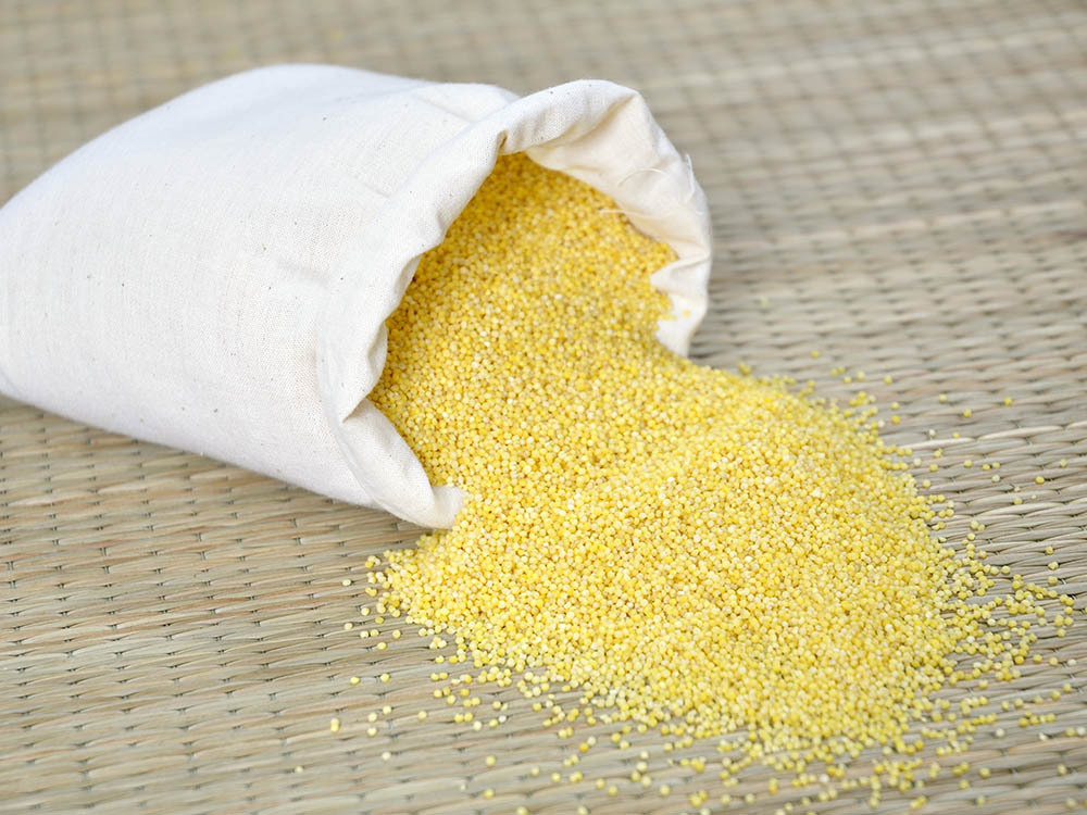 谷道糧原有機小米 來自內蒙古沙地的自然饋贈