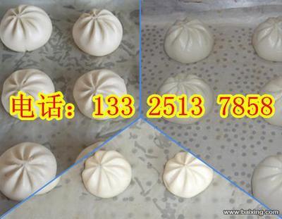 探秘最新型包包子機 多功能包子機廠家盤點與小籠包子機價格解析