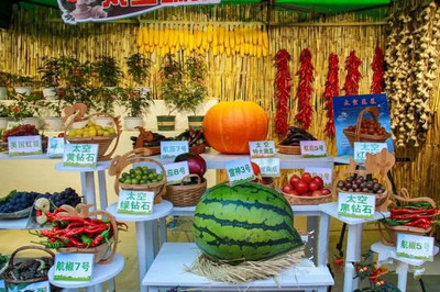 北安農特產品閃耀文博會，黑河“極境寒養”品牌聲名鵲起