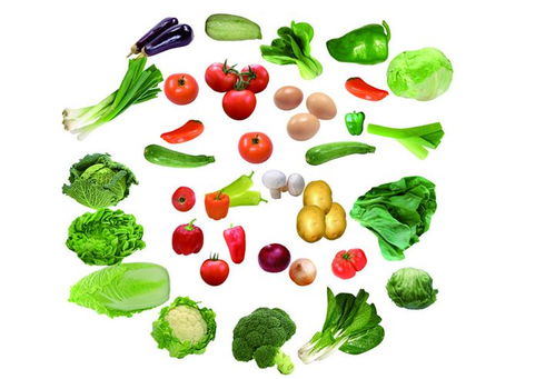 東莞市方格綠農產品配送服務動態 守護餐桌新鮮，助力健康生活