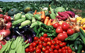 泰州首創 全省首單農產品質量險落地，為“舌尖上的安全”撐起保護傘